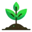 Site Seedling Logo